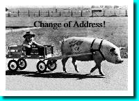 pig pulling cart moving card