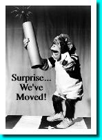 Surprise...We've moved!