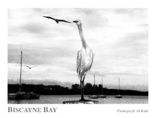 Biscayne Bay poster